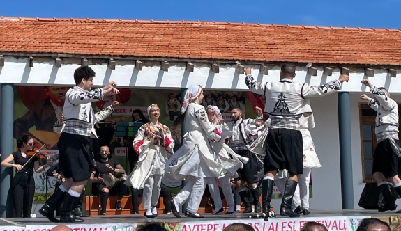 Avtepe Medoş Lalesi Festivali yapıldı